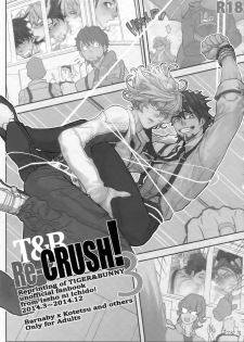 (C90) [Isshou ni Ichido! (Mokkori)] T&B Re-CRUSH!3 (TIGER & BUNNY) - page 2