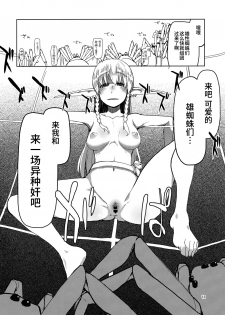 (C94) [Metamor (Ryo)] Dosukebe Elf no Ishukan Nikki 5 [Chinese] [无毒汉化组] - page 19