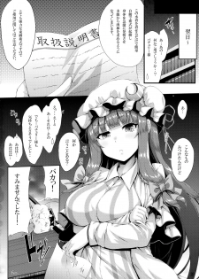 (C94) [YuKi-IRo (Yukiusagi.)] Tokonatsu Majutsu (Touhou Project) - page 15