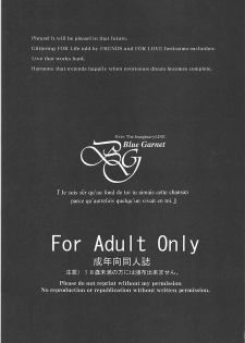 (C94) [BLUE GARNET (Serizawa Katsumi)] Neko Musume o Mesu ni Shitai (Gegege no Kitarou) - page 2