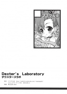 (C84) [Mamagult (Takao Ukyou)] Dexter's Laboratory (Love Lab) - page 17