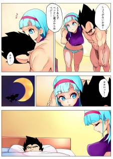 [Puranpuman] Bulma ga sabishi-sōna Vegeta o mite tsui nantonakuna hon (Dragon Ball Z) - page 13