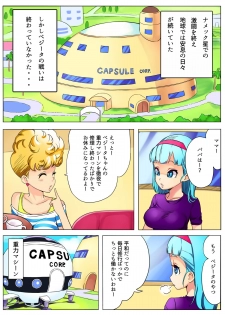 [Puranpuman] Bulma ga sabishi-sōna Vegeta o mite tsui nantonakuna hon (Dragon Ball Z) - page 3