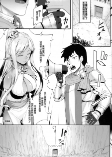 (C94) [Area14 (Kasei)] Dark Elf no Himegimi to Ichakorax [Chinese] [胸垫汉化组] - page 3