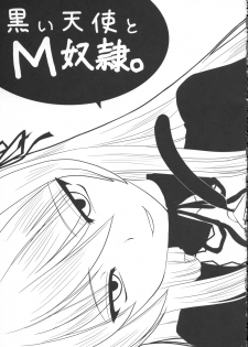 (C71) [Shin Hijiridou Honpo (Hijiri Tsukasa)] Bara to Tenshi to Onee-chan (Rozen Maiden) - page 20