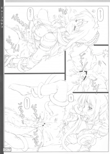 (C74) [Testa Kitchen (Testa)] Kyoni Kousen (Ragnarok Online) - page 16