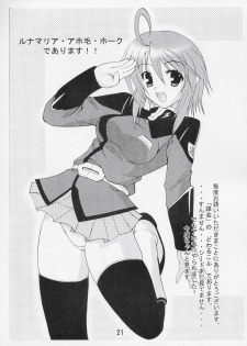 (C67) [Ekakigoya (Nanjou Asuka)] Kitsch 27 - The Ark of Gene Eyes of Dragon (Gundam Seed Destiny) - page 22