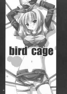 (C67) [Dr. VERMILION (Petenshi)] Bird Cage (Ragnarok Online) - page 2