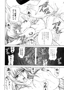 (C67) [Gakuen Hanimokuo (Shinonome Maki)] Rimited Build (Gundam SEED DESTINY) - page 19