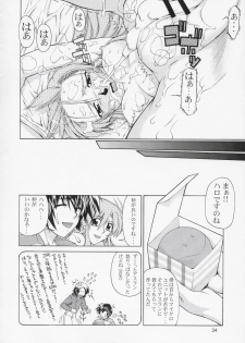 (C67) [Gold Rush (Suzuki Address)] Edition (Omote) (Gundam Seed) - page 33