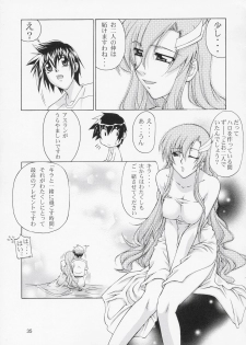 (C67) [Gold Rush (Suzuki Address)] Edition (Omote) (Gundam Seed) - page 34