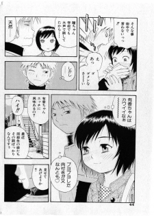 COMIC Shoujo Tengoku 2005-05 - page 44