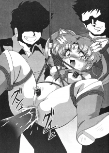 (C69) [Thirty Saver Street 2D Shooting (Maki Hideto, Sawara Kazumitsu)] Silent Saturn SS vol. 8 (Bishoujo Senshi Sailor Moon) - page 44
