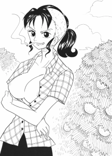 [Ginmomodou (Mita Satomi)] Koukai Nisshi DX (One Piece) - page 46