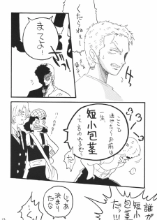 [Ginmomodou (Mita Satomi)] Koukai Nisshi DX (One Piece) - page 12