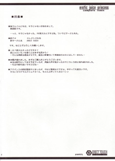 [Erect Touch (Erect Sawaru)] Erotic Juice Princess Complete Remix (Seiken Densetsu 3) - page 3