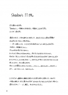 (C67) [Shadow's (Kageno Illyss)] Shadow's 11 (Kokoro Navi) - page 3