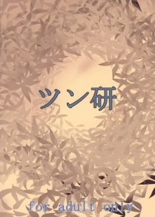 (SC36) [Tsunken (Men's)] Heavens Door (Kimi ga Aruji de Shitsuji ga Ore de) - page 26
