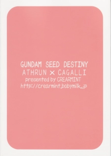 [CREARMINT] UBU UBU (Kidou Senshi Gundam SEED Destiny / Mobile Suit Gundam SEED Destiny) - page 31