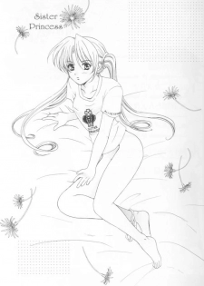 (C60) [Alice Syndrome] 12 Princess of Sisters (Sister Princess) - page 2