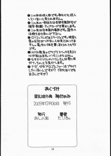 (C69) [Ashinoie (Taryl.)] Kamidanomi (KamiChu!) - page 17