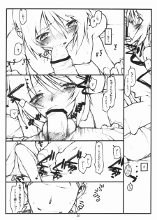 (SC28) [bolze. (rit.)] Miscoordination. (Mobile Suit Gundam SEED DESTINY) - page 19