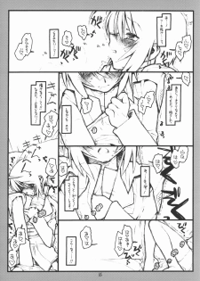 (SC28) [bolze. (rit.)] Miscoordination. (Mobile Suit Gundam SEED DESTINY) - page 15