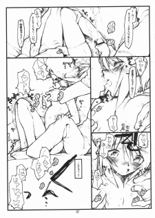(SC28) [bolze. (rit.)] Miscoordination. (Mobile Suit Gundam SEED DESTINY) - page 24