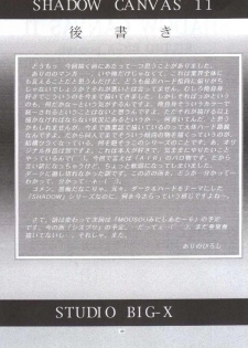 (CR28) [Studio BIG-X (Arino Hiroshi)] SHADOW CANVAS 11 (AIR) - page 48
