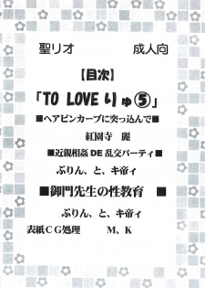 (C72) [St. Rio (Kitty)] ToLOVE Ryu 5 (To LOVE-ru) - page 3