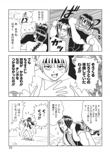 [Muchi Muchi 7 (Hikami Dan, Terada Tsugeo)] Kasumi or Ayane (Dead or Alive) - page 33