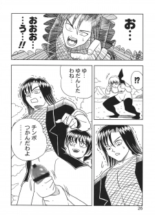 [Muchi Muchi 7 (Hikami Dan, Terada Tsugeo)] Kasumi or Ayane (Dead or Alive) - page 26