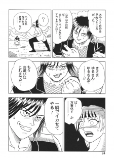 [Muchi Muchi 7 (Hikami Dan, Terada Tsugeo)] Kasumi or Ayane (Dead or Alive) - page 24