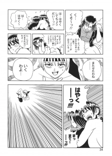 [Muchi Muchi 7 (Hikami Dan, Terada Tsugeo)] Kasumi or Ayane (Dead or Alive) - page 34