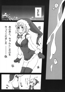 [Akai Tsubasa (Tachibana Chata)] [Santa] [Mithra] [Irimasen ka?] (Final Fantasy XI) - page 13