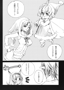 [Akai Tsubasa (Tachibana Chata)] [Santa] [Mithra] [Irimasen ka?] (Final Fantasy XI) - page 4