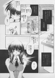 Comic Papipo 2005-03 - page 7