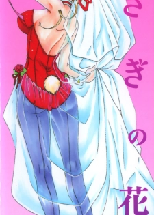 [Kurokawa Mio] Usagi no Hanayome - Rabbit Bride - page 4