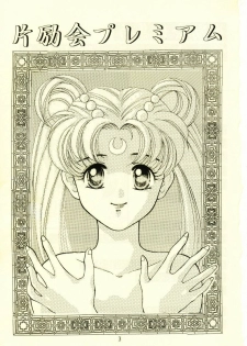 Henreikai Premium (Sailor Moon) - page 2