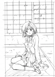 (C63)[Hen Rei Kai (Kawarajima Kou)] Amihota!! Side:b (Sailor Moon) - page 30