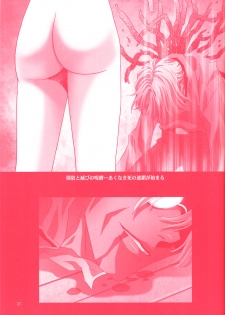 (C69) [Hen Rei Kai (Kawarajima Koh)] AmiHota!! Side:D (Sailor Moon) - page 36