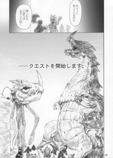 (C74) [Arsenothelus (Rebis)] Wagamama Oujo no Hunter dai Renzoku Shuryou! (Monster Hunter) - page 24