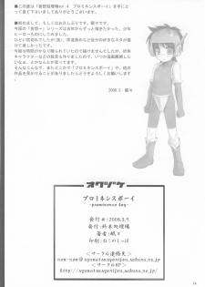 [Syumatsusyorijou (Nemunemu)] Mousou Shojirou Vol.4 Prominence Boy - page 13