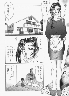 [Hayabusa Shingo] Boshi Juukan - page 39