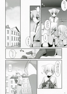 (C73) [Digital Lover (Nakajima Yuka)] D.L. Action 41 (Ragnarok Online) - page 25