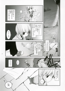 (C73) [Digital Lover (Nakajima Yuka)] D.L. Action 41 (Ragnarok Online) - page 20