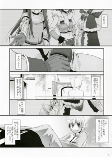 (C73) [Digital Lover (Nakajima Yuka)] D.L. Action 41 (Ragnarok Online) - page 28