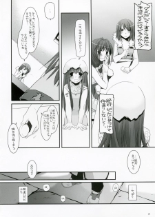 (C73) [Digital Lover (Nakajima Yuka)] D.L. Action 41 (Ragnarok Online) - page 19