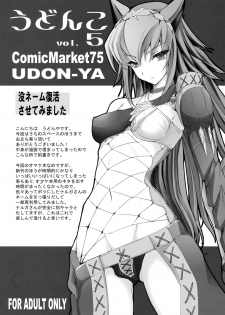 (C75) [UDON-YA (Kizuki Aruchu)] Udonko vol. 5 (Monster Hunter) - page 1