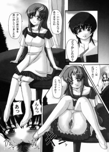 (CR34) [Neo Frontier (Takuma Sessa)] My Milky Way FINAL -Lacs Mix- (Gundam SEED) - page 19